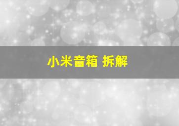 小米音箱 拆解